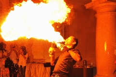 BARMAN JONGLEUR -BARTENDER