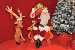 ARBRE ET SPECTACLES DE NOEL