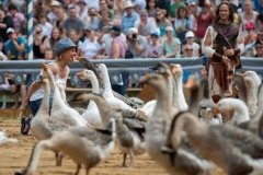 SPECTACLE AVEC DES OIES